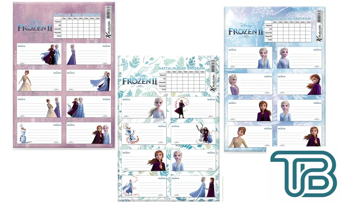 Keskin Color Frozen 2 220130 Ders Programlı Okul Etiketi 3 Set