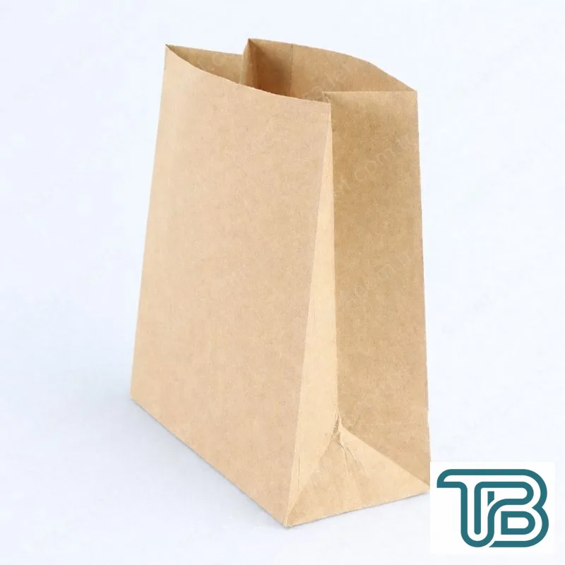 SAPSIZ KRAFT KAĞIT TORBA 22X28X11 CM 100 ADET