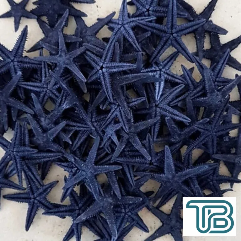 Naturel Deniz Yıldızı Minik Boy 0.5 Cm -1.5 Cm (100 Adet) Mavi - Eminönü ToptanS | Ticaretin Kalbinden