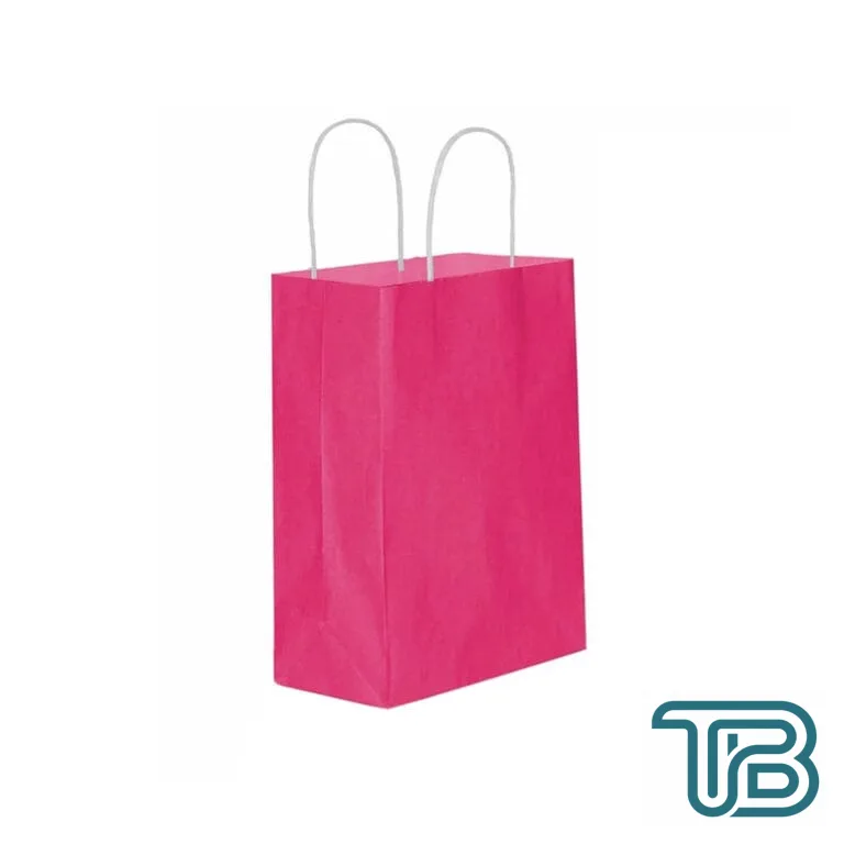 Kağıt Hediye Çantası Küçük Boy Düz Renk 18X24 Cm (25 Adet) Fuşya - Eminönü ToptanS | Ticaretin Kalbinden