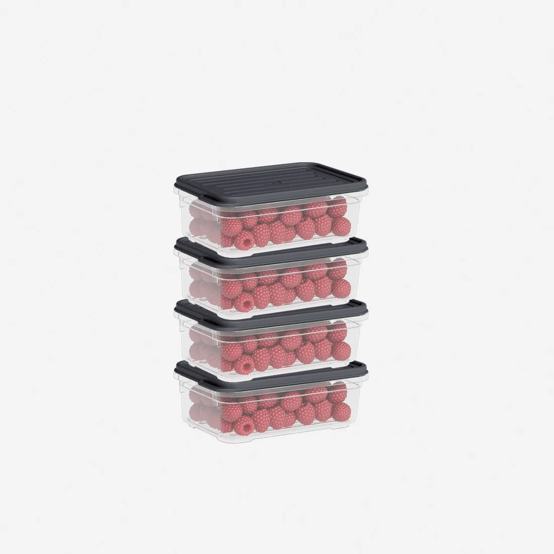 4 Parça Smart Saklama Kabı Set (4 x 500 ml)